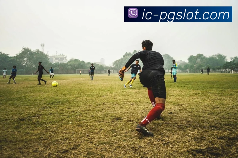 赏金女王官网APP 体育赛事宣传图